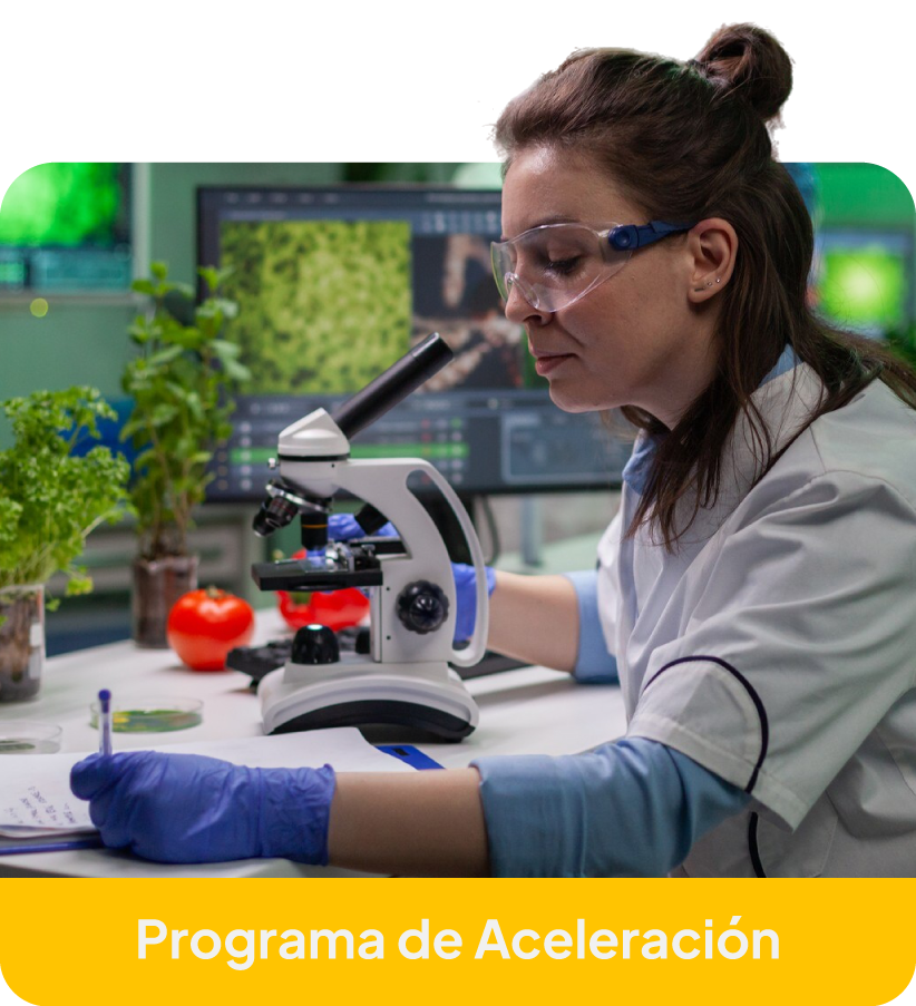 Programa de aceleración